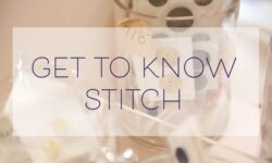 Get to Know Stitch :: Eva